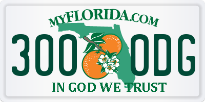FL license plate 3000DG