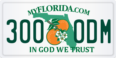 FL license plate 3000DM
