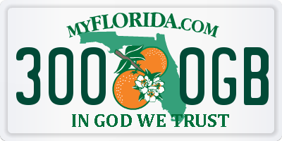 FL license plate 3000GB