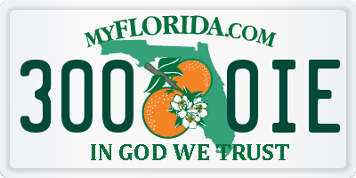 FL license plate 3000IE