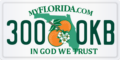 FL license plate 3000KB