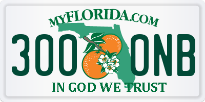 FL license plate 3000NB