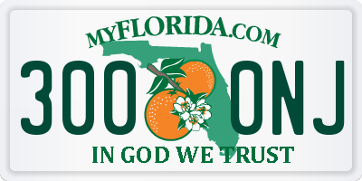 FL license plate 3000NJ