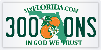 FL license plate 3000NS