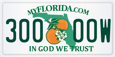 FL license plate 3000OW