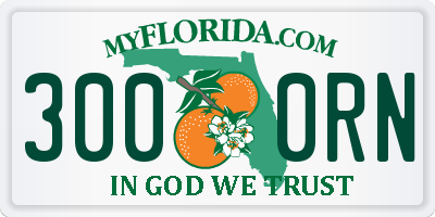 FL license plate 3000RN