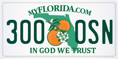 FL license plate 3000SN