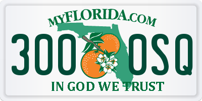 FL license plate 3000SQ