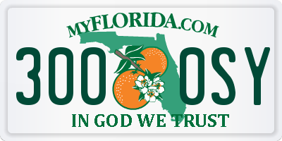 FL license plate 3000SY