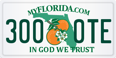 FL license plate 3000TE