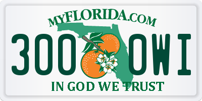 FL license plate 3000WI