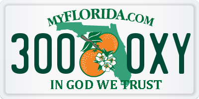 FL license plate 3000XY