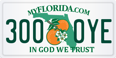 FL license plate 3000YE
