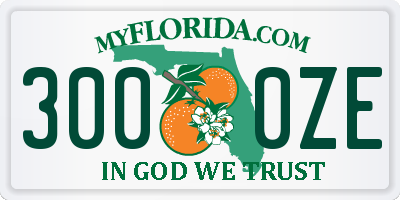FL license plate 3000ZE