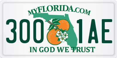 FL license plate 3001AE