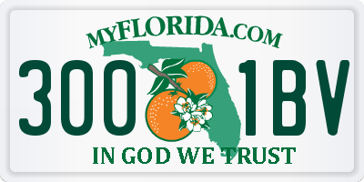FL license plate 3001BV