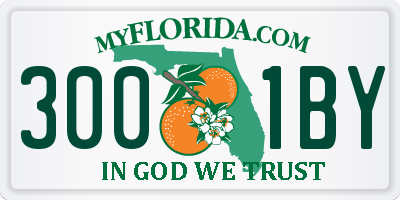 FL license plate 3001BY