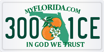 FL license plate 3001CE