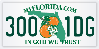 FL license plate 3001DG