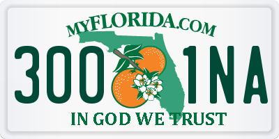 FL license plate 3001NA