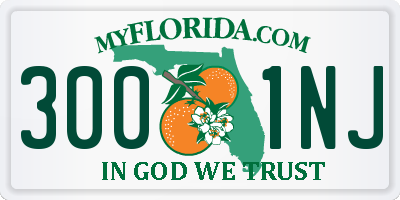 FL license plate 3001NJ