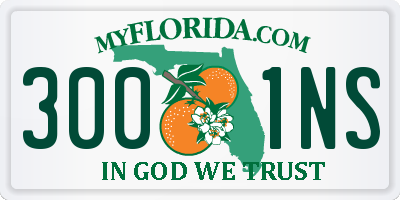 FL license plate 3001NS