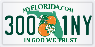 FL license plate 3001NY