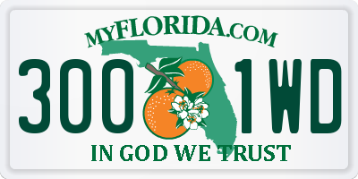 FL license plate 3001WD