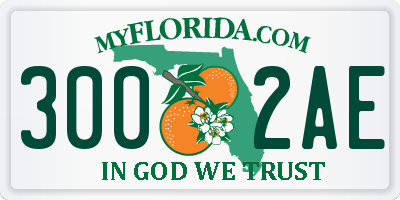 FL license plate 3002AE