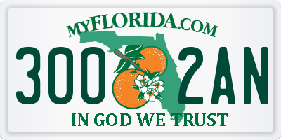 FL license plate 3002AN
