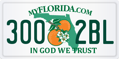 FL license plate 3002BL