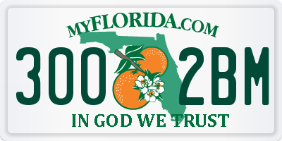 FL license plate 3002BM