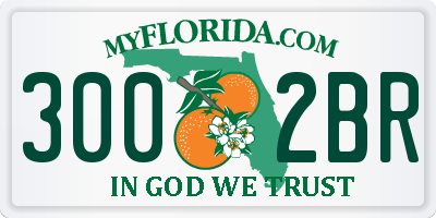 FL license plate 3002BR