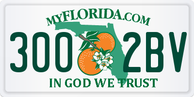 FL license plate 3002BV