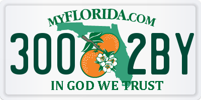 FL license plate 3002BY