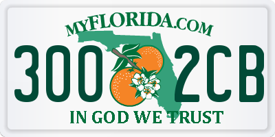 FL license plate 3002CB