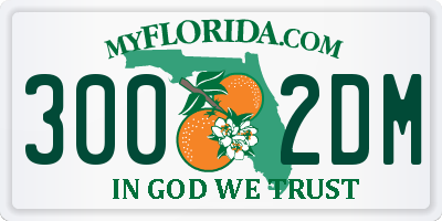 FL license plate 3002DM