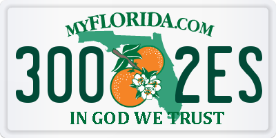 FL license plate 3002ES