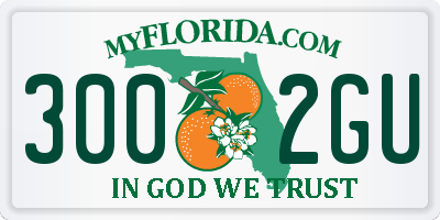 FL license plate 3002GU