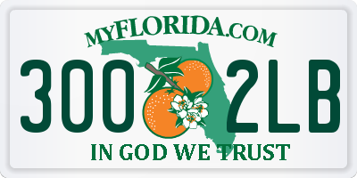 FL license plate 3002LB