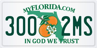FL license plate 3002MS