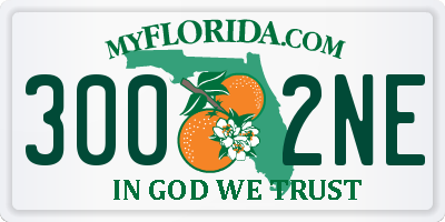 FL license plate 3002NE