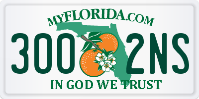 FL license plate 3002NS