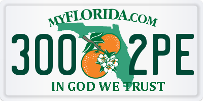 FL license plate 3002PE