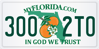 FL license plate 3002TO