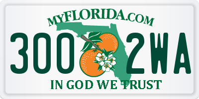 FL license plate 3002WA