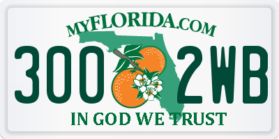 FL license plate 3002WB