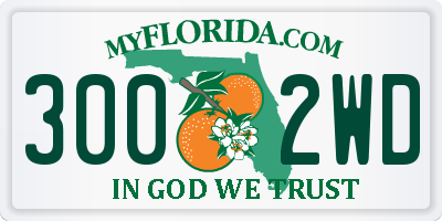 FL license plate 3002WD