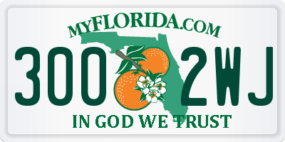 FL license plate 3002WJ