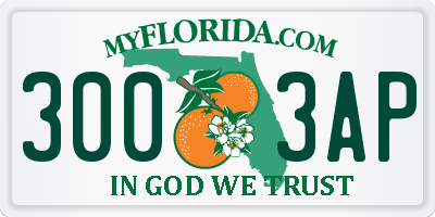 FL license plate 3003AP